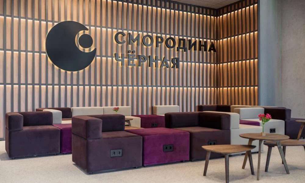Галерея отеля Чёрная Смородина - фото 11, Сколково